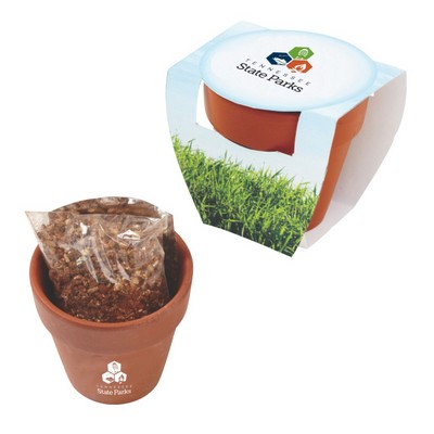 Terracotta Pot w/Seeds